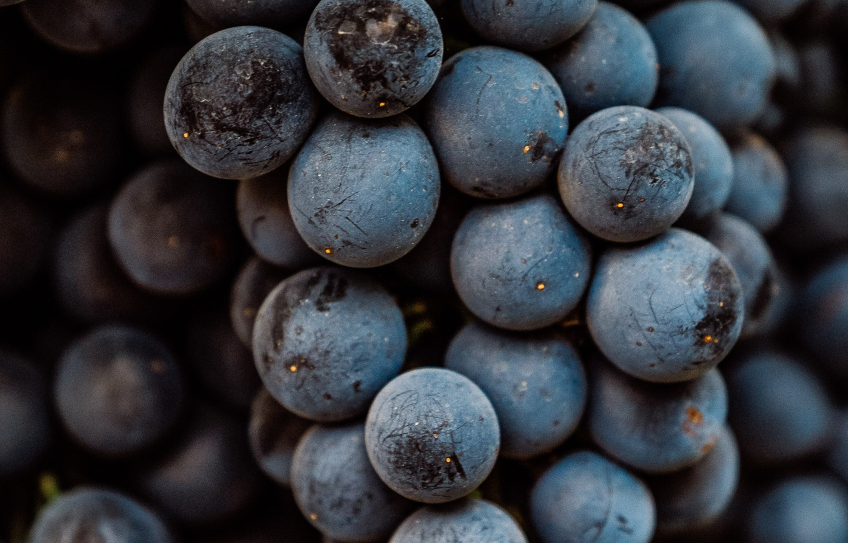 Globalwine – Vegane Weine Wann ist ein Wein Vegan?