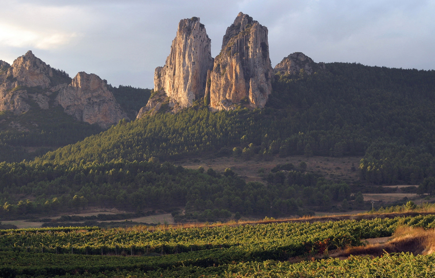 Bodegas Muga - Rioja - Moderne Traditionalisten