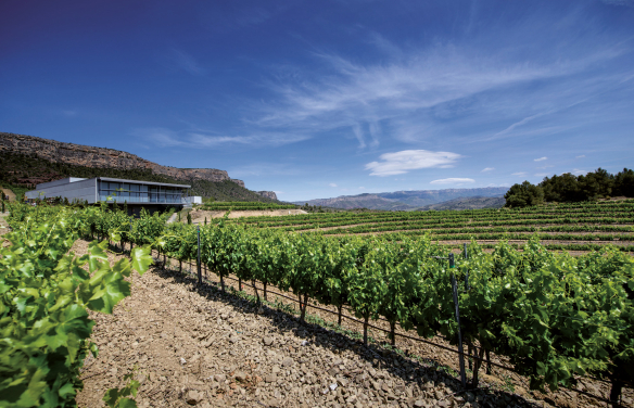 Bodegas El Lloar - Familie Torres - Priorat - Spanien