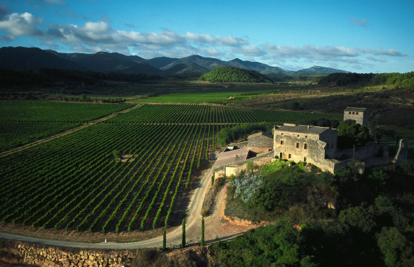 Milmanda Estate - Familie Torres - Penedes - Spanien