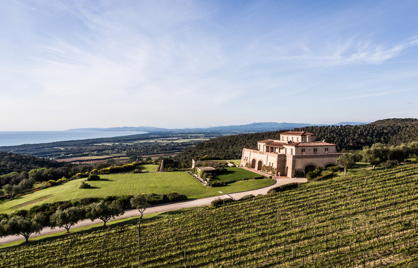 Weingut Tenuta Argentiera - Bolgheri - Italien