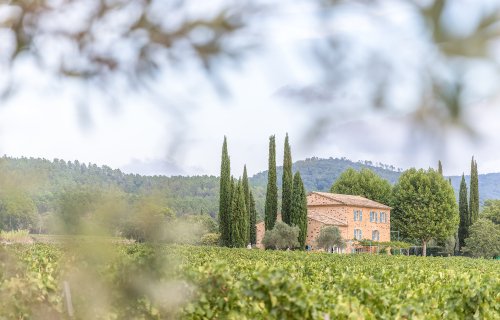 Domaine Mirabeau - Rosé de Provence - Côte de Provence - Frankreich