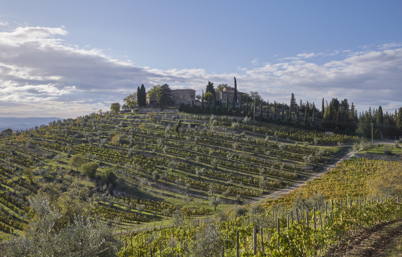 Weingut Castagnoli im Chianti