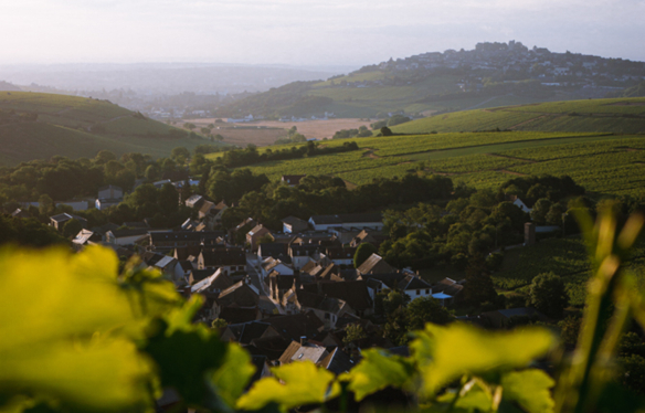 Chablis Village Rebberge Chardonnay