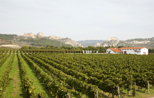 Muga Rioja Rebberg