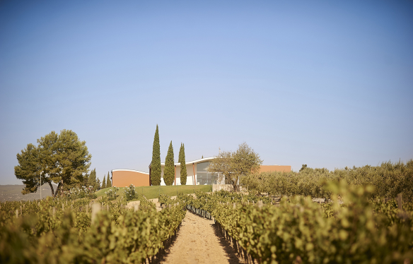 Penedès