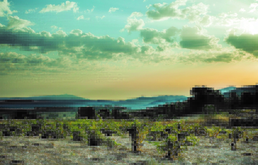Atlan & Artisan, Weinproduzenten in Jumilla und Mallorca