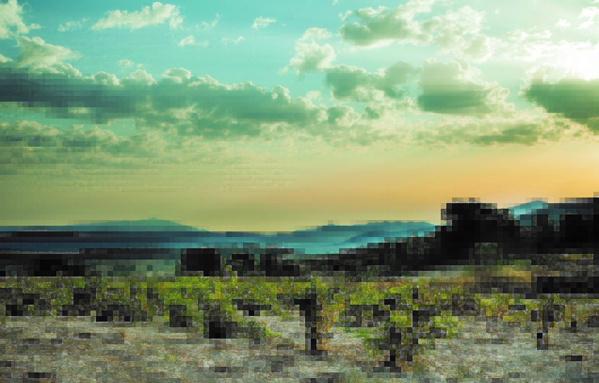 Atlan und Artisan Atlan & Artisan, Weinproduzenten in Jumilla und Mallorca