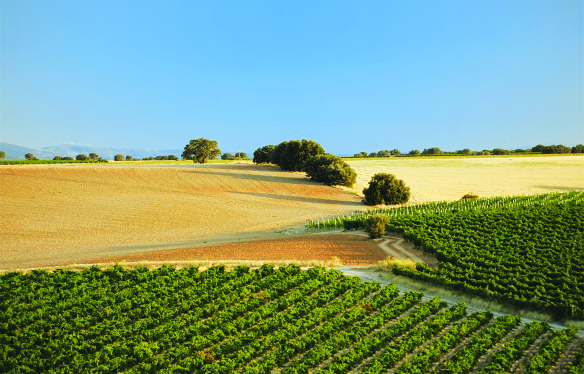 Rueda die Weisswein-Region Spaniens