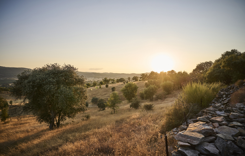 Alentejo