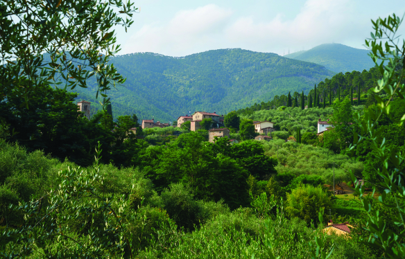 Pieve di Compito, Lucca