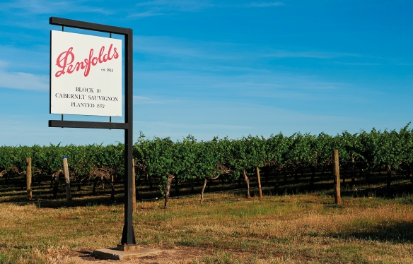 Winery Penfolds Australien