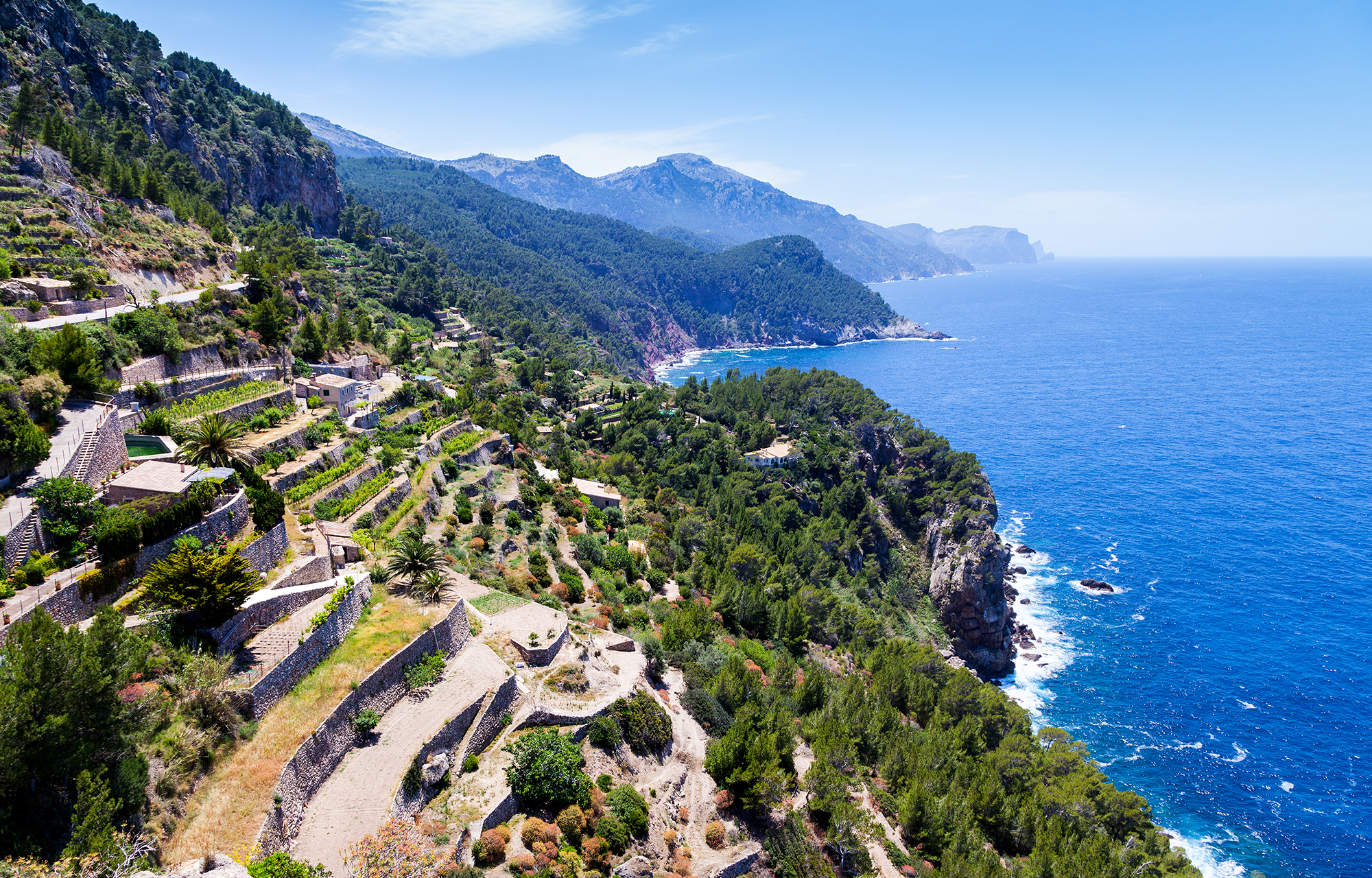 Rebberge auf Mallorca