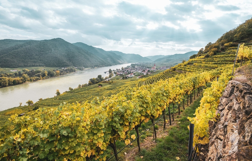 Domäne Wachau, Österreich