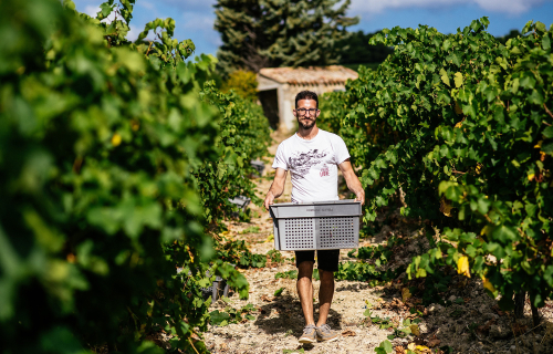 Domaine Gayda, Languedoc