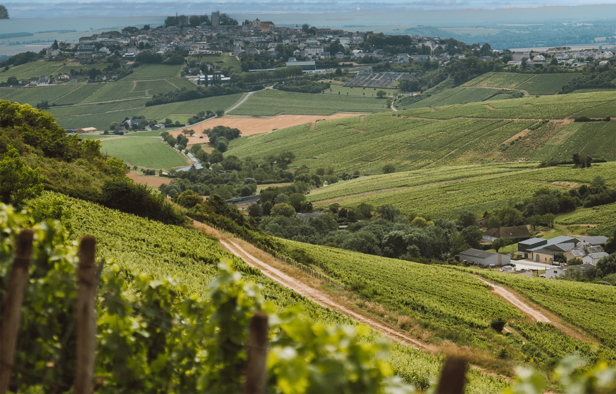 Winzer Domaine Hubert Brochard