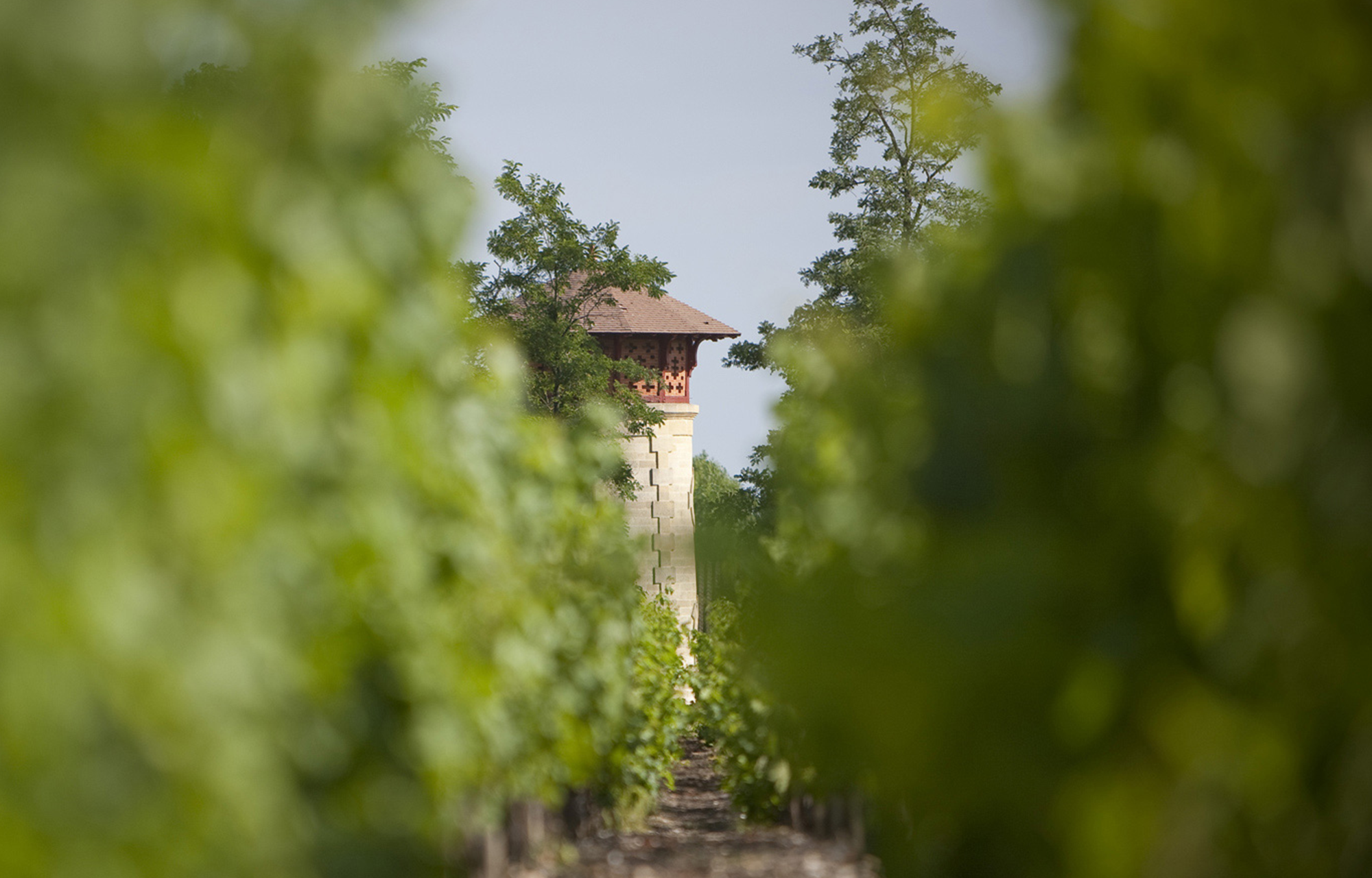 Winzer Château Lanessan
