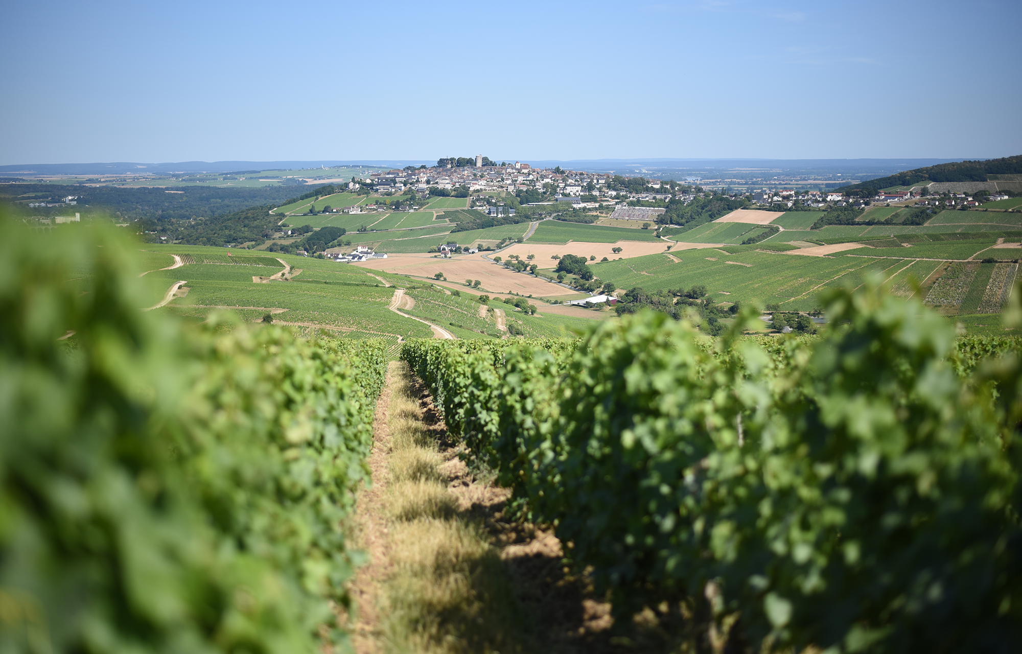 Winzer Domaine Fournier Père et Fils