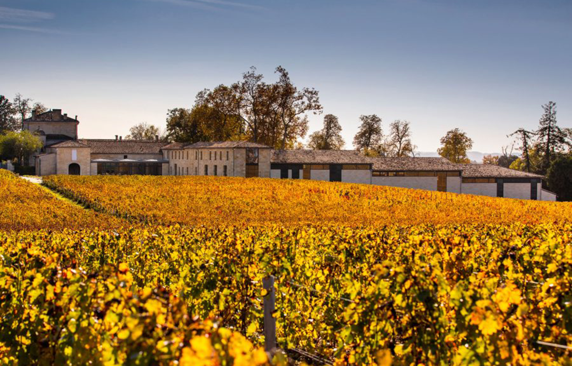 Winzer Château La Fleur-Pourret