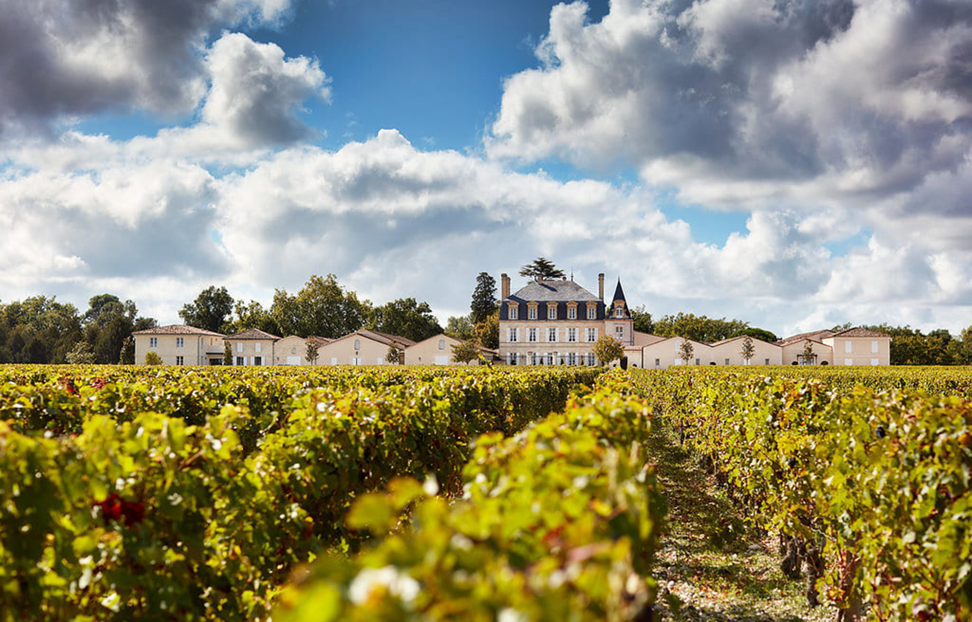 Winzer Château Grand-Puy-Lacoste