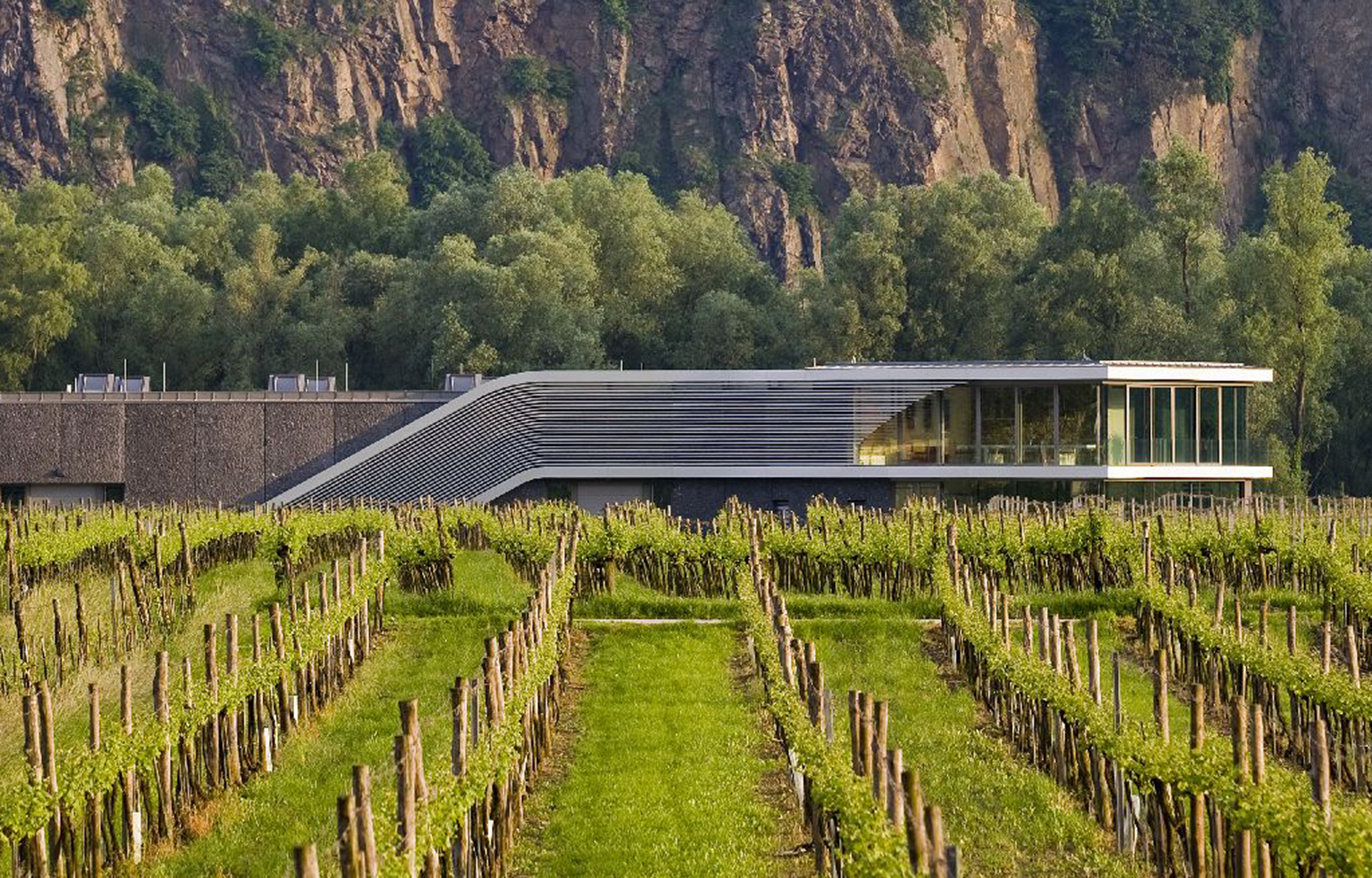 Winzer Weingut FX Pichler
