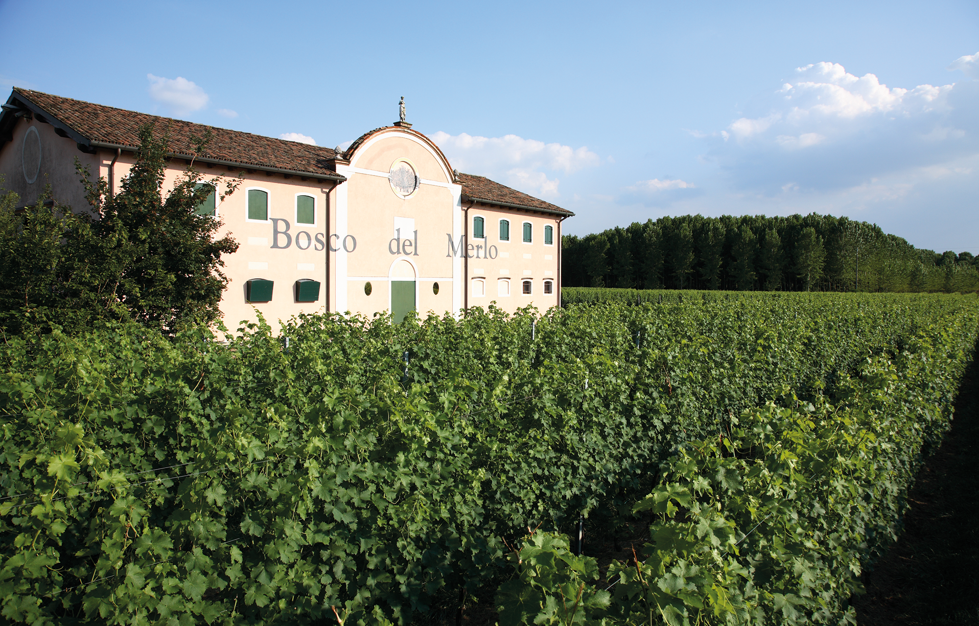 Winzer Bosco del Merlo