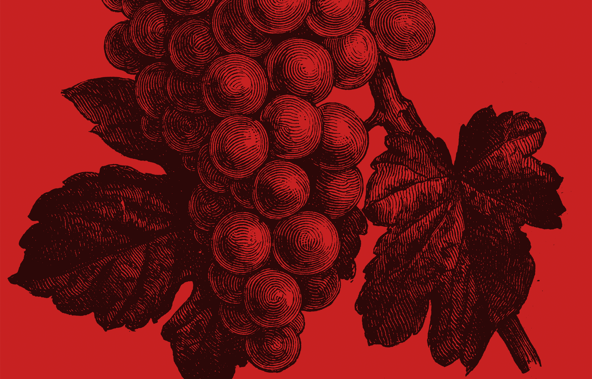 Ausverkauf Globalwine