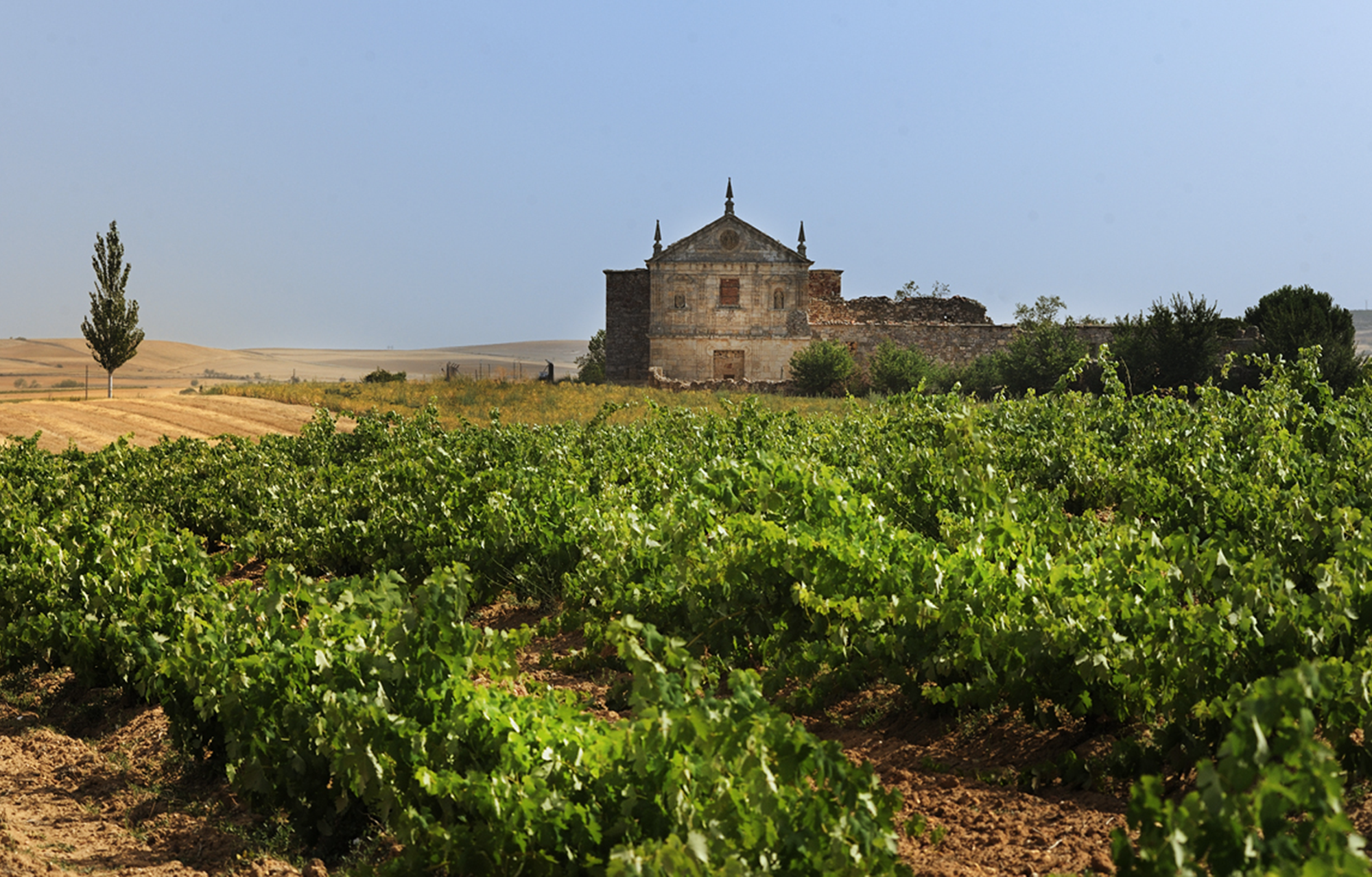 Winzer Bodegas Tridente