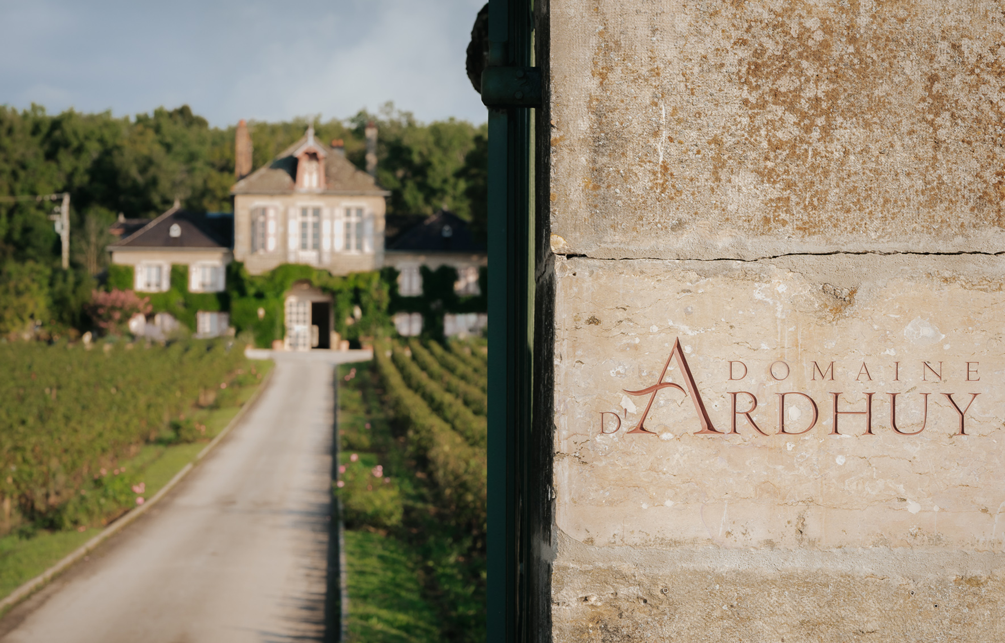 Winzer Domaine d`Ardhuy