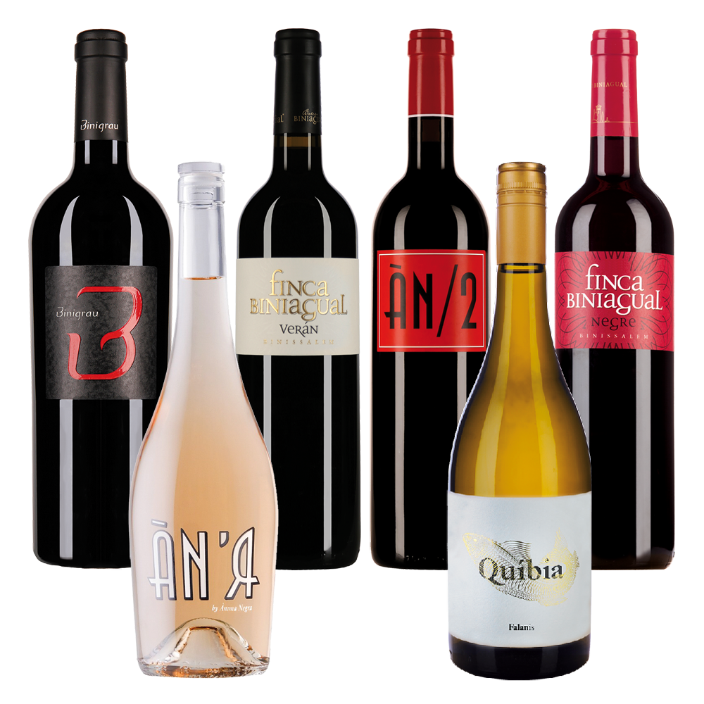 Mallorca 6er Inselpaket für CHF 105.00 statt 153.60 Ànima Negra