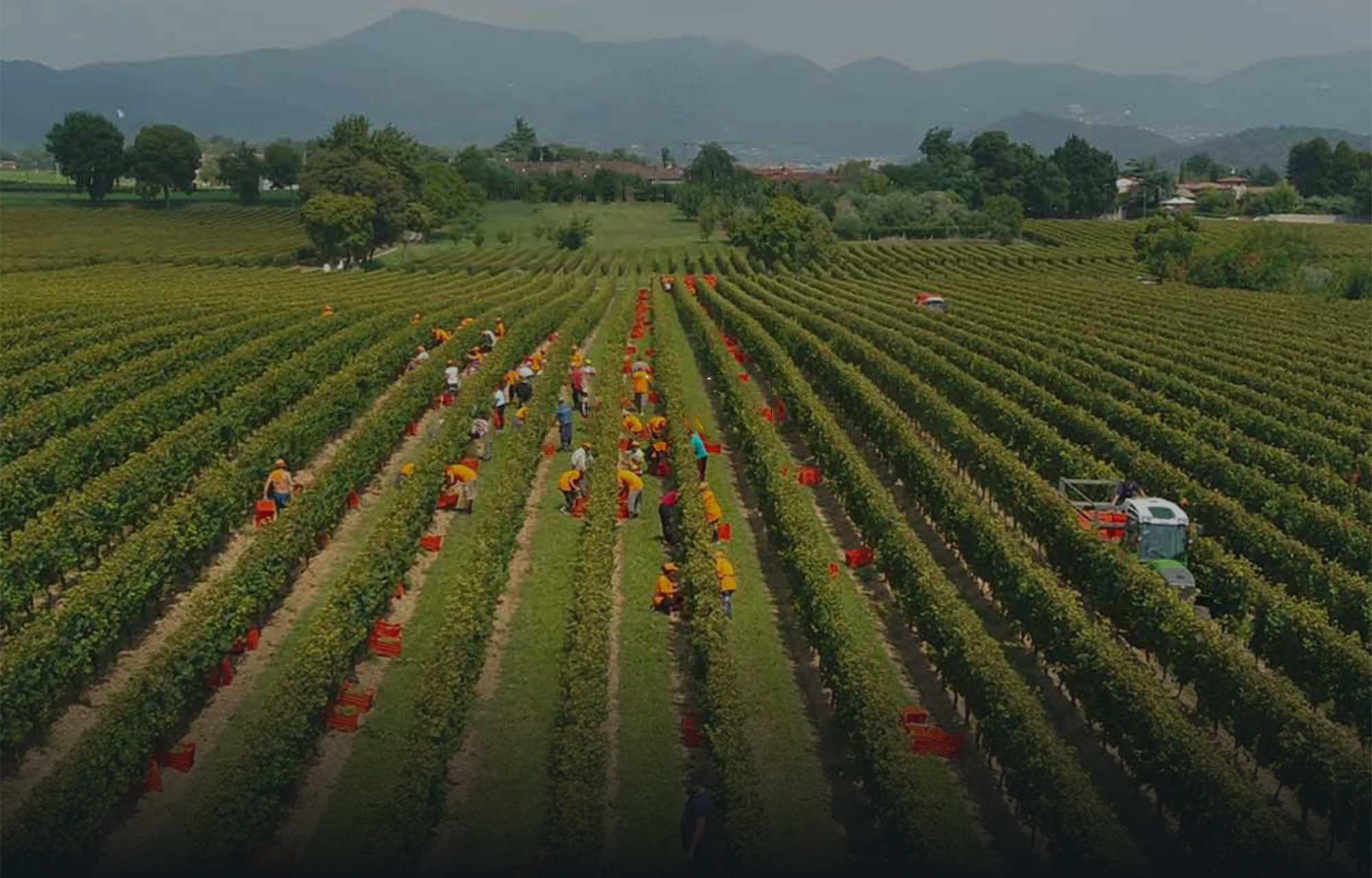 Winzer Ca`del Bosco