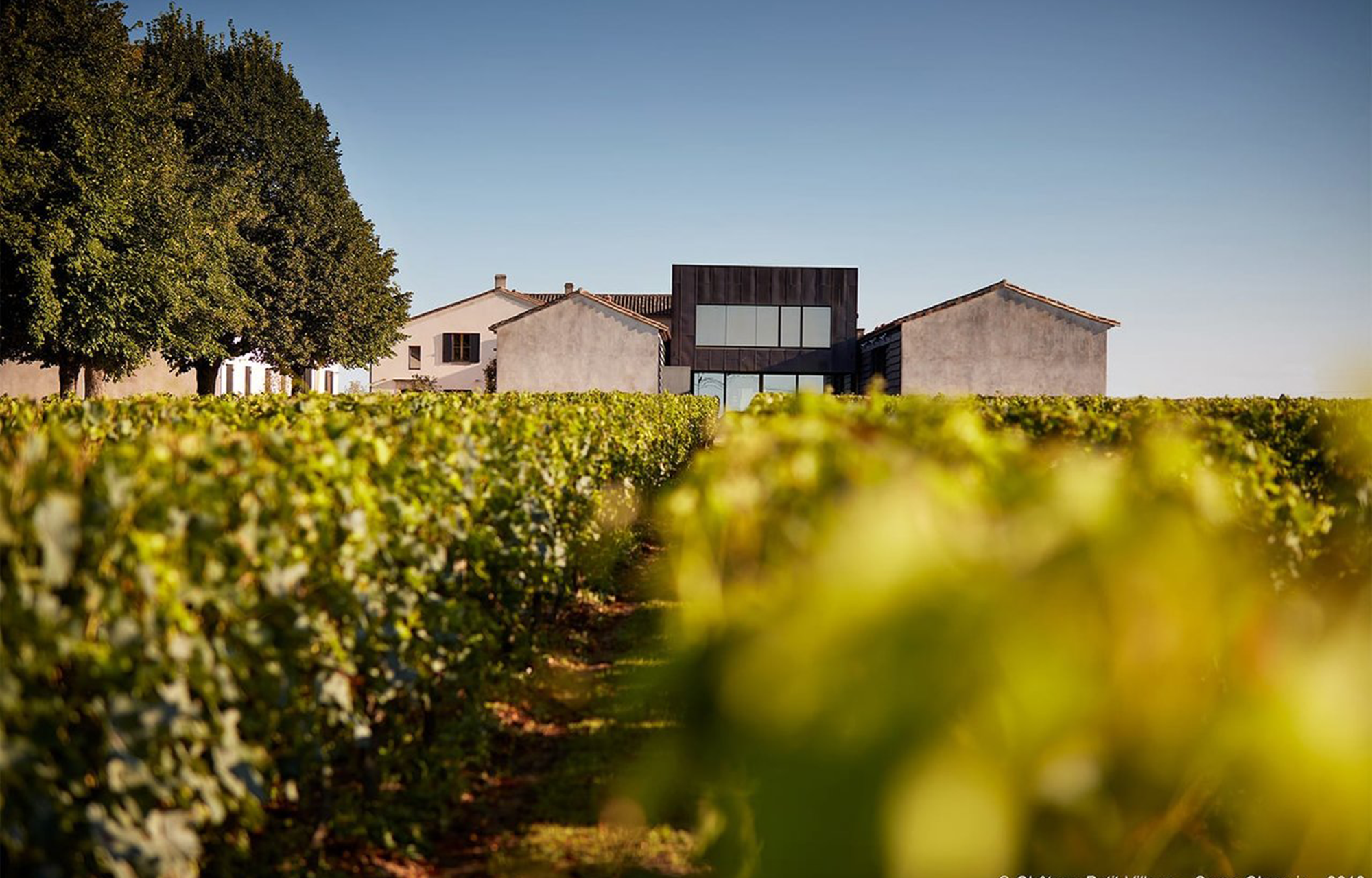Winzer Château Petit Village