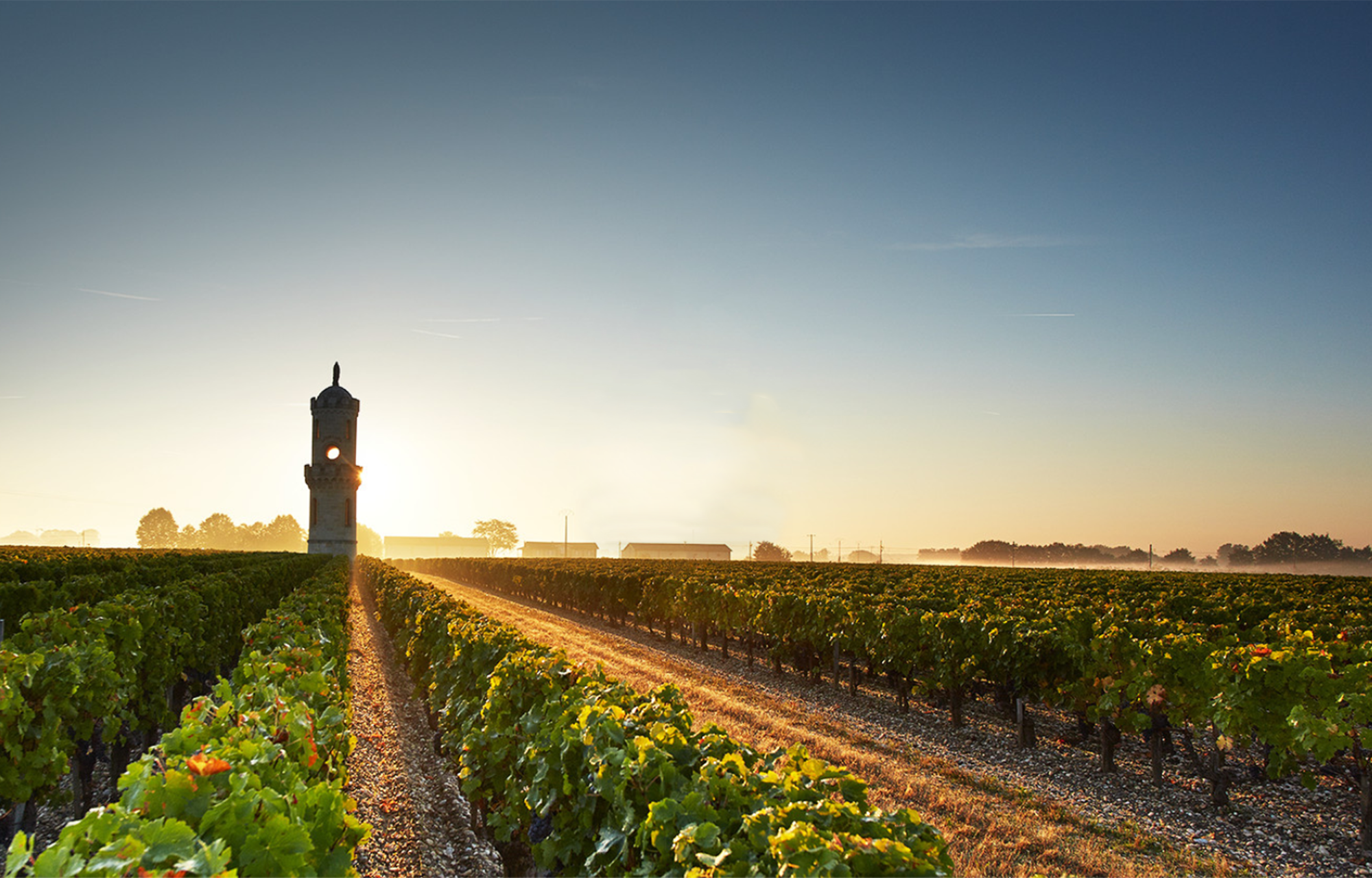 Winzer Château Haut Batailley