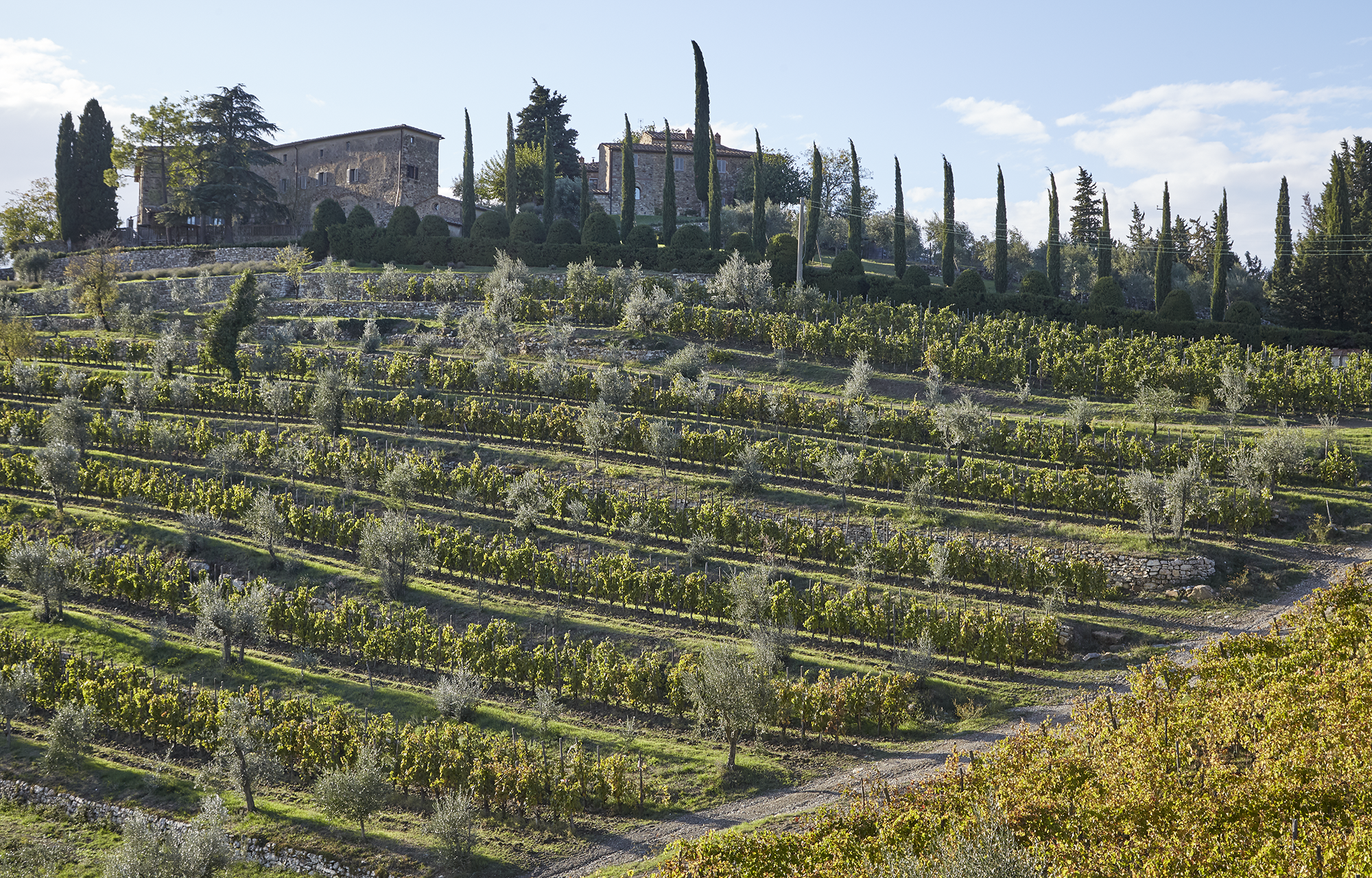 Castagnoli Chianti Classico Toscana