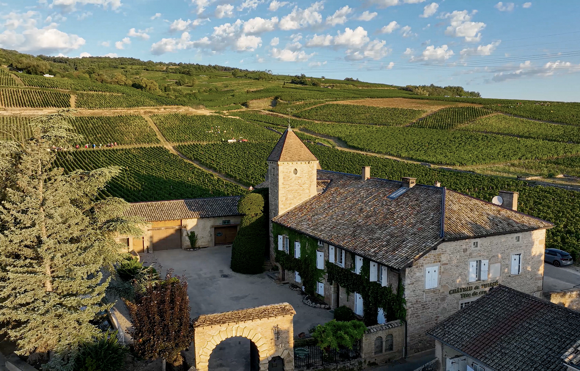Winzer Château-Fuissé