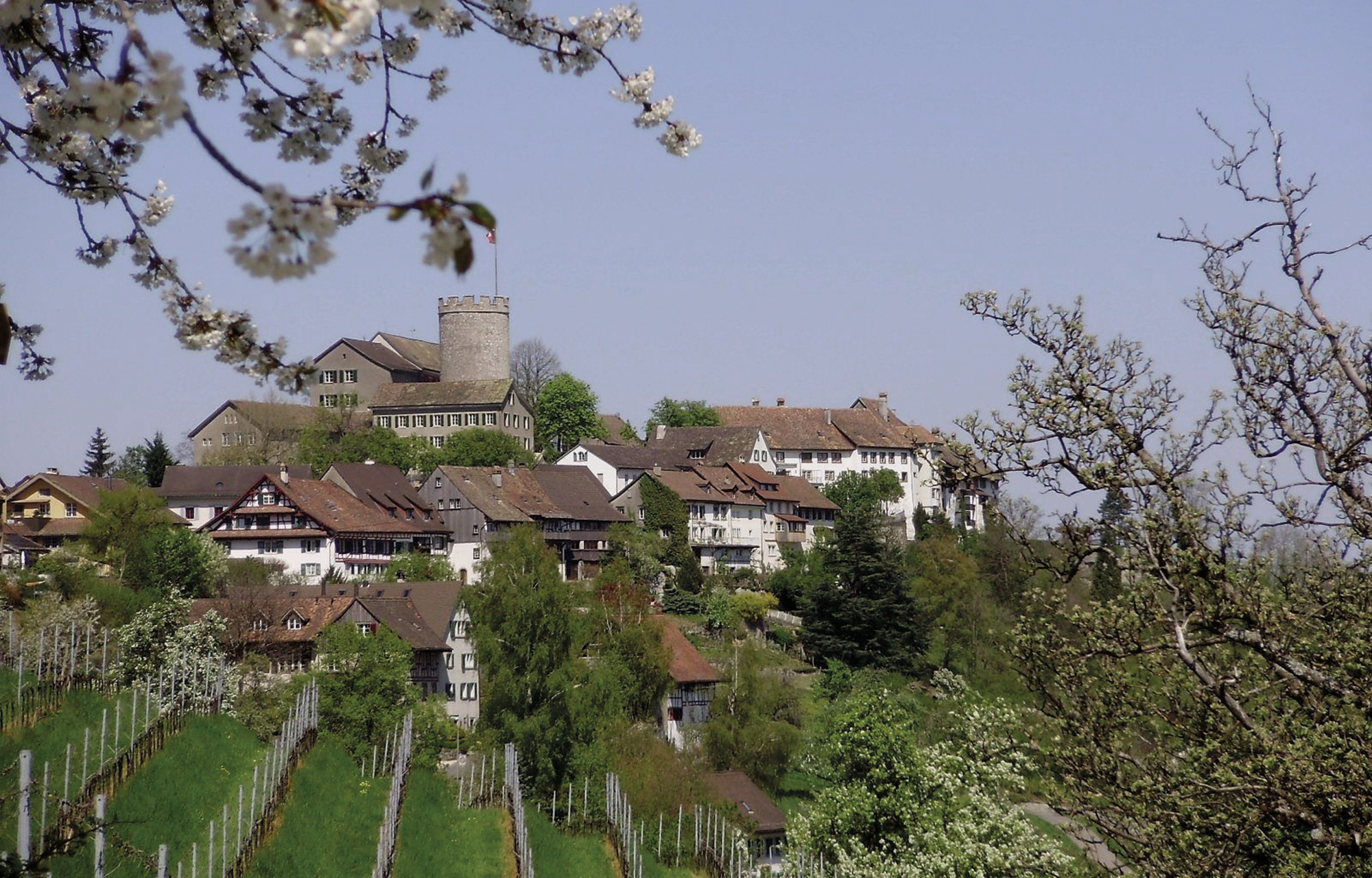 Winzer Weingut Weidmann