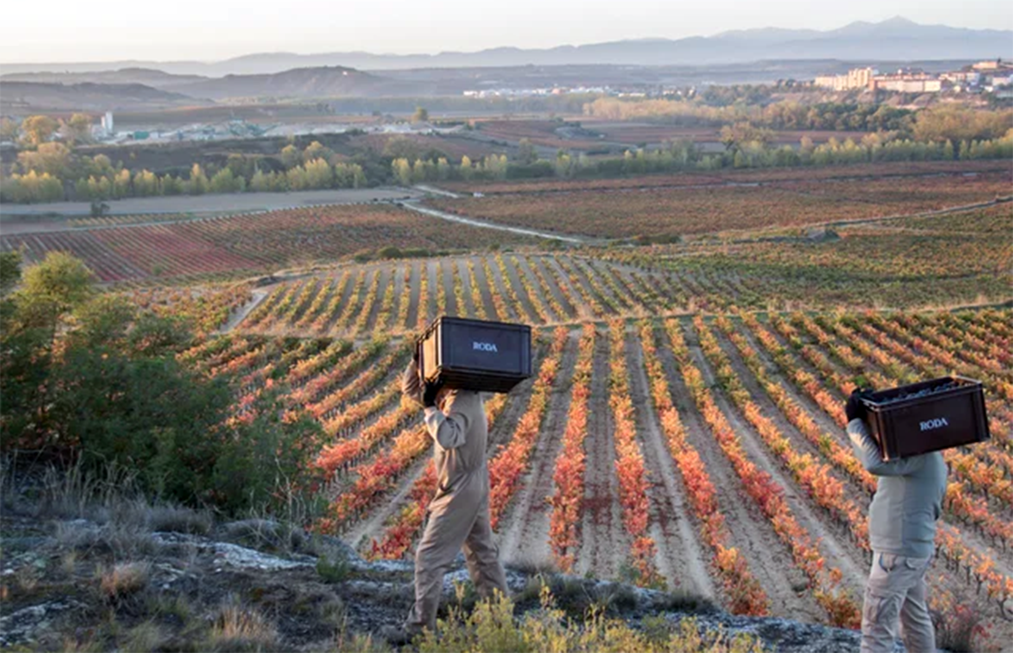 Winzer Bodegas Roda