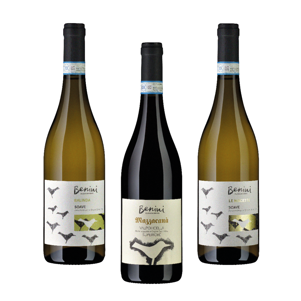 Benini Alessandro Degustationspaket* für CHF 39.50 statt 56.70 Cantina Benini Alessandro