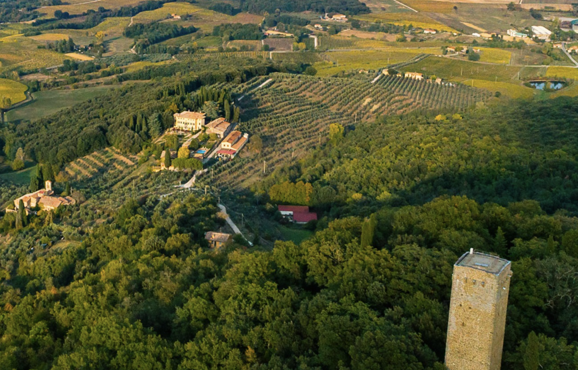 Winzer Fattoria Petrolo