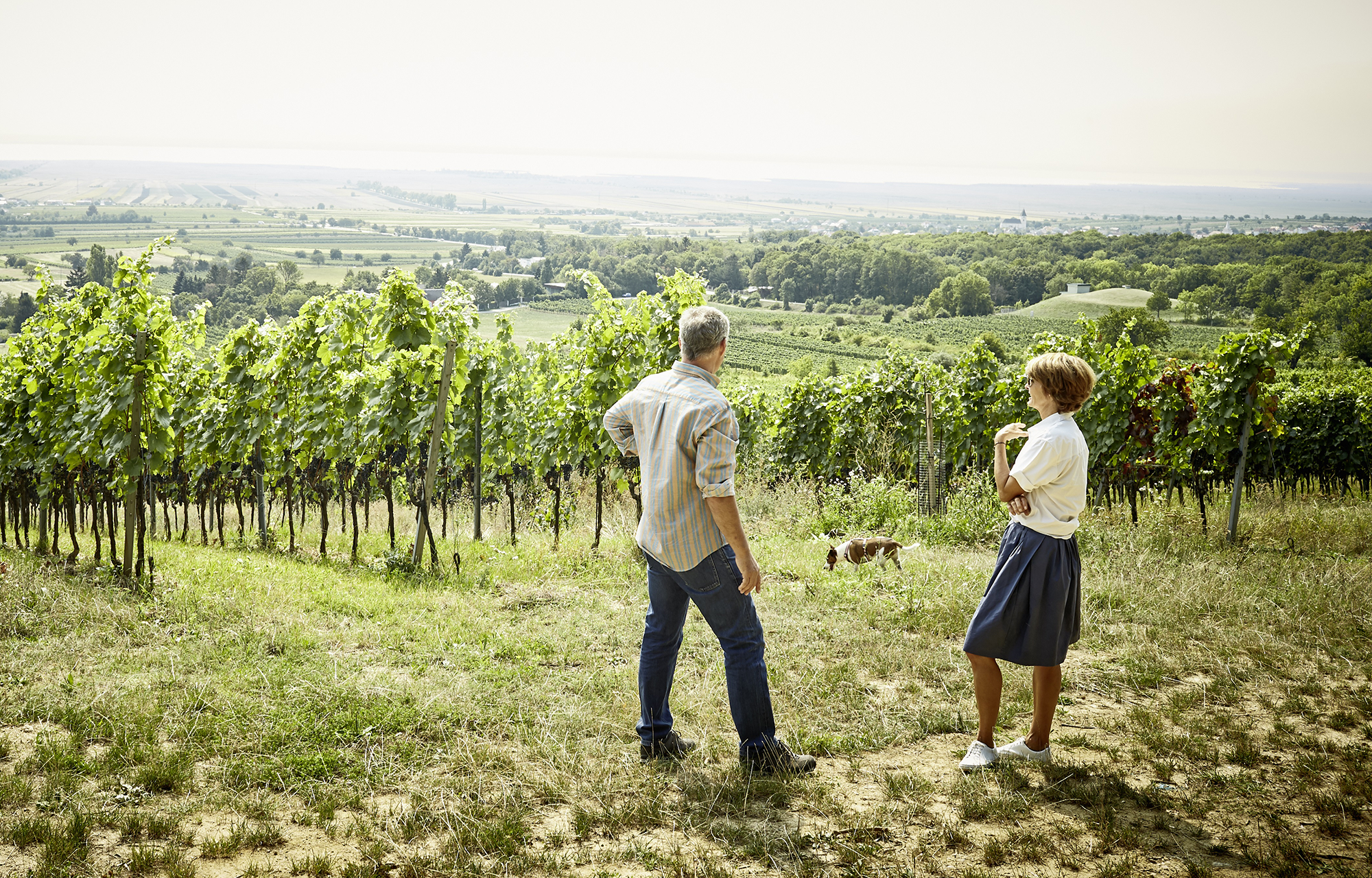 Winzer Weingut Heinrich