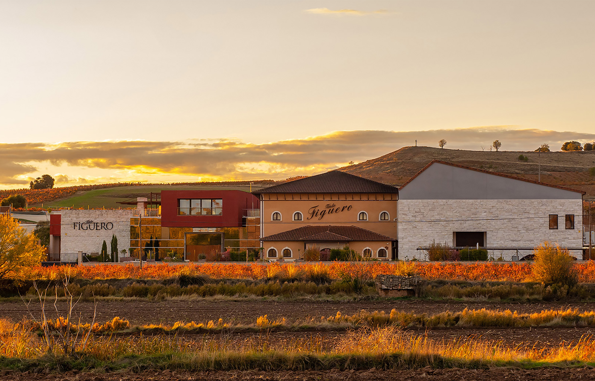 Winzer Vinedos y Bodegas Garcia Figuero