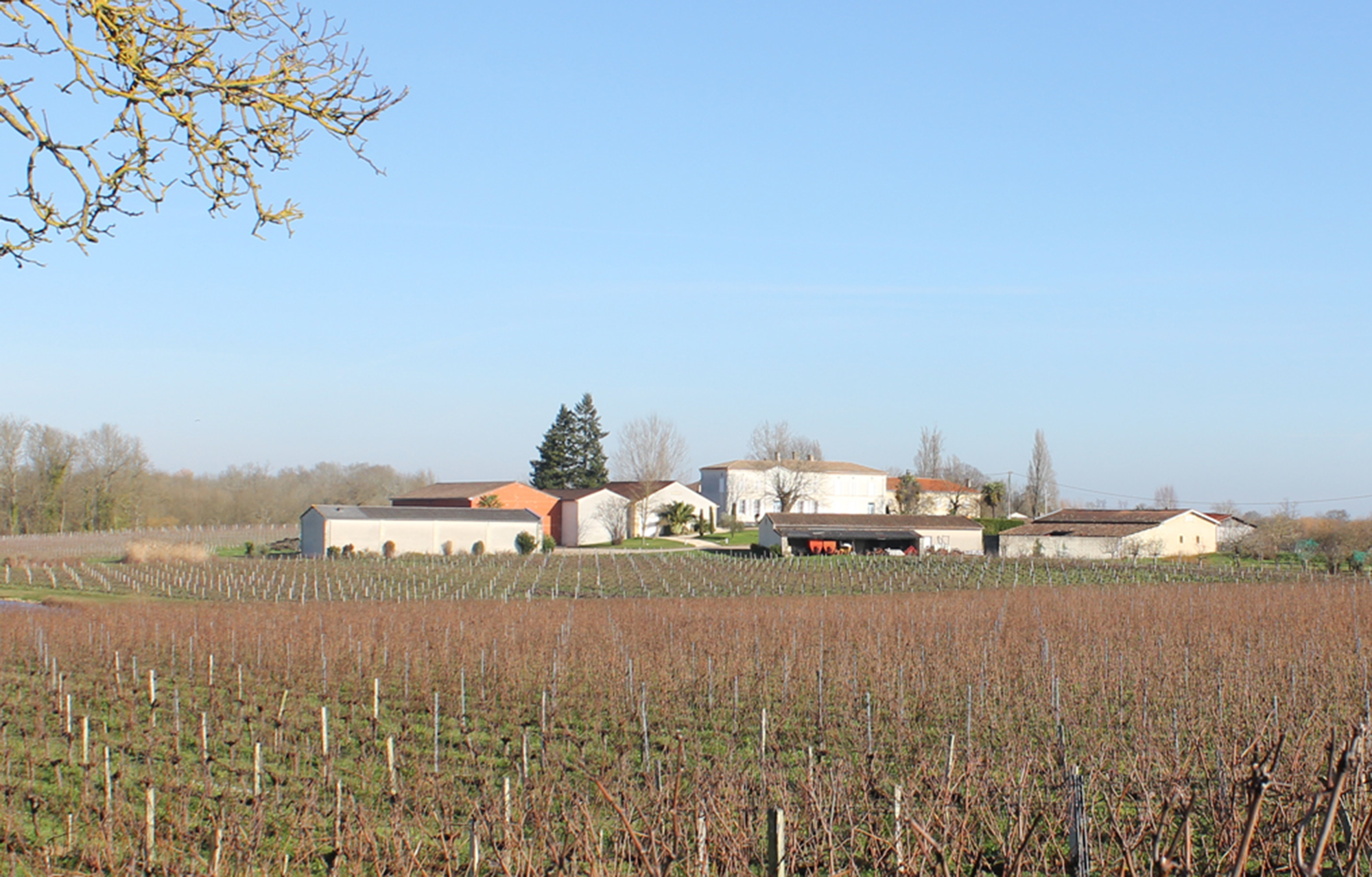Winzer Château Mélignan
