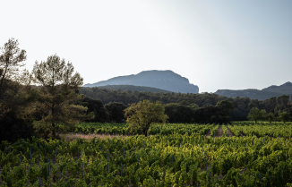 Domaine Clavel, Languedoc
