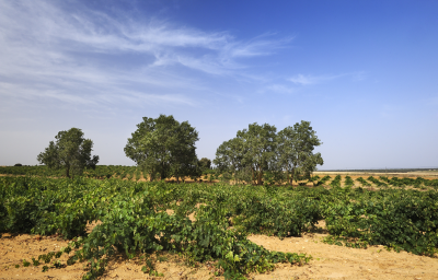 Zamora in Castilla y Léon