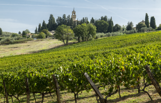 Winzer Tenuta Castiglioni - Marchesi Frescobaldi