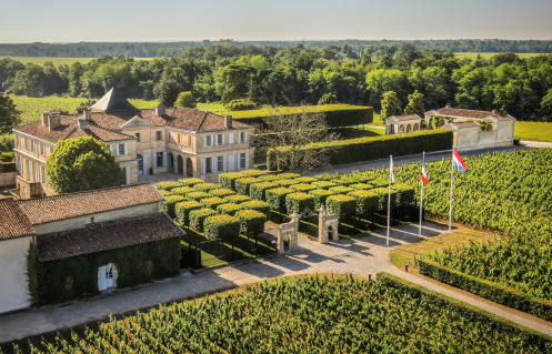 Winzer Château Du Tertre