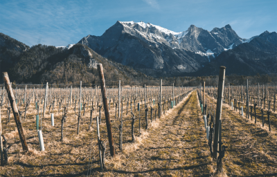 Winzer Weingut Davaz