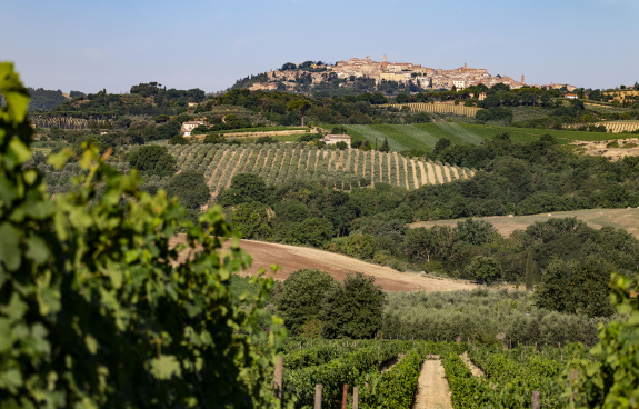 Winzer Tenuta Calimaia - Marchesi Frescobaldi