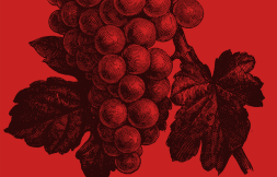 Ausverkauf Globalwine