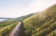 Winzer St.Antony Weingut